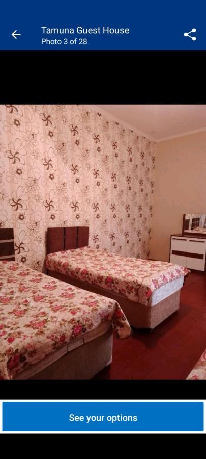 Tamuna Guest House Martvili Kültér fotó