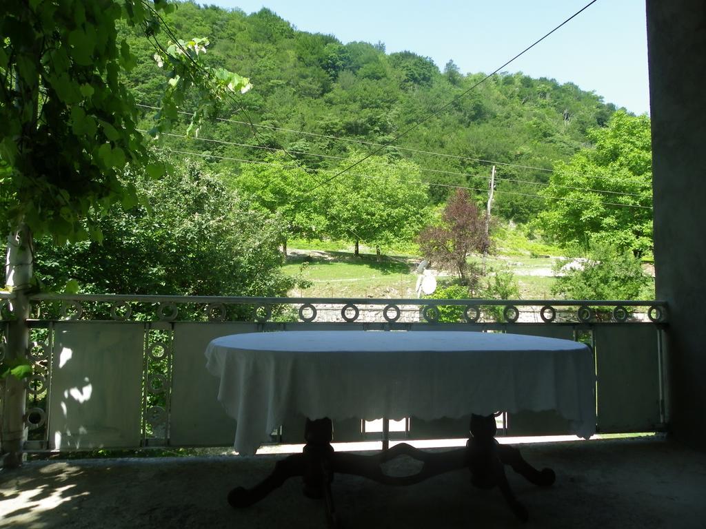 Tamuna Guest House Martvili Kültér fotó